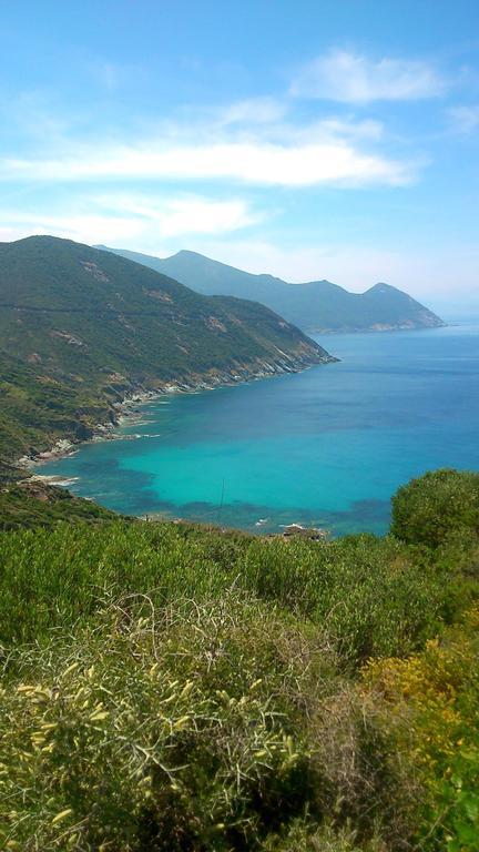 Le Tomino Macinaggio (Corsica) Exterior foto
