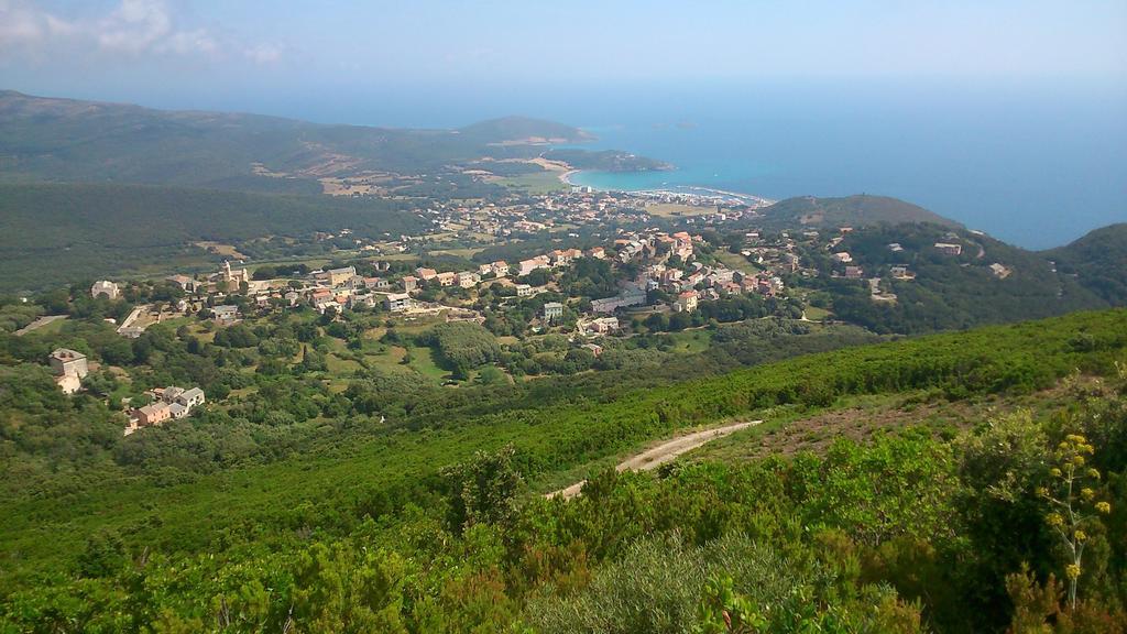 Le Tomino Macinaggio (Corsica) Exterior foto