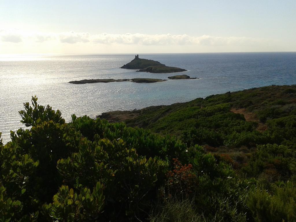 Le Tomino Macinaggio (Corsica) Exterior foto