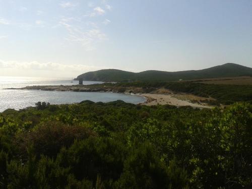 Le Tomino Macinaggio (Corsica) Exterior foto
